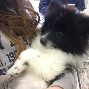 Meet your Posher, Belinda